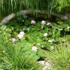 Gepflegter und liebevoll gestalteter Garten