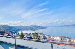 Exklusives Terrassenhaus mit Seeblick