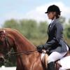 Reiten... Reiten...